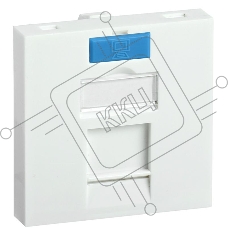 Вставка 45х45мм для 1 мод. Keystone Jack с маркером | CS6-12M | ITK