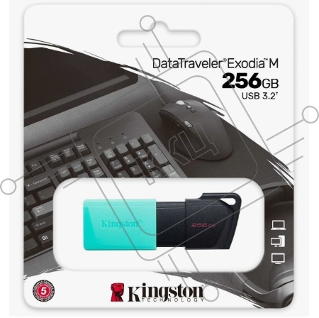 Флеш Диск Kingston 256Gb DataTraveler DTXM DTXM/256GB USB3.2 черный/зеленый