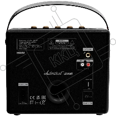 Портативная акустика Admiral LEVANT 60W/BT 5.0/AUX/USB/Microphone/6600Ma/черный
