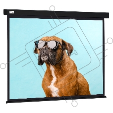 Экран Cactus 183x244см Wallscreen CS-PSW-183X244-BK 4:3 настенно-потолочный рулонный черный