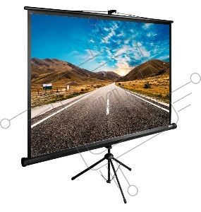 Экран Cactus 160x160см TriExpert CS-PSTE-160x160-BK 1:1 напольный рулонный