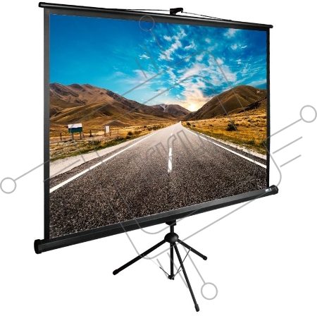 Экран Cactus 160x160см TriExpert CS-PSTE-160x160-BK 1:1 напольный рулонный