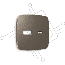 Лицевая панель OMEGA (Темная бронза матовый) для розетки 2USB тип A+C QUANT OP6410