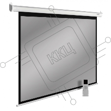Экран Cactus 138x220см SIlverMotoExpert CS-PSSME-220X138-WT 16:10 настенно-потолочный рулонный белый (моторизованный привод)