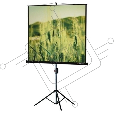Экран на треноге Lumien 153x153см Master View LMV-100102 1:1 напольный рулонный