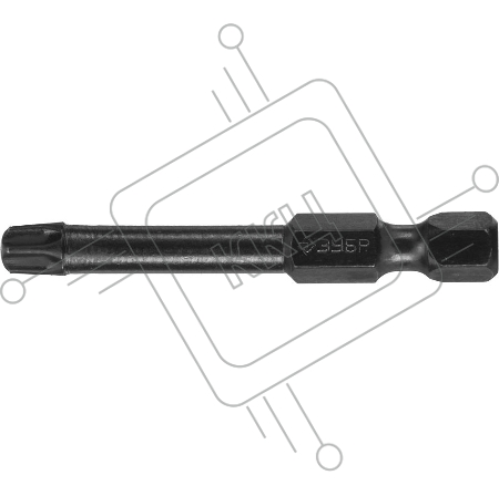 Бита ЗУБР ПРОФИ 26025-30-50-S2  TORX E 1/4'' T30 50мм 2шт на карт.