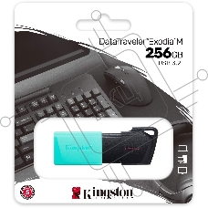 Флеш диск Kingston 256Gb DataTraveler DTXM DTXM/256GB USB3.2 черный/зеленый
