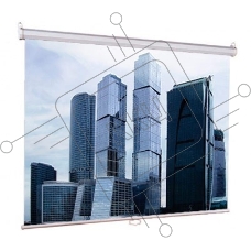 Экраны  LUMIEN Eco Picture LEP-100101,  150х150 см, 1:1