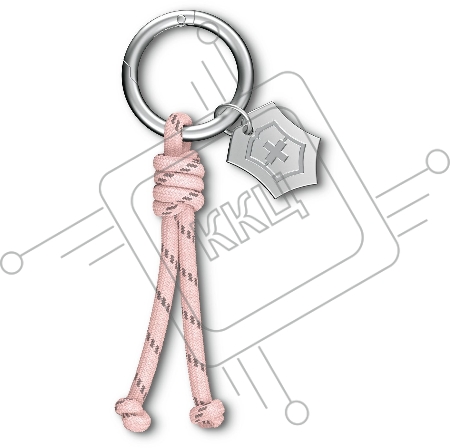 Кольцо для ключей Victorinox (4.1895.N) розовый блистер