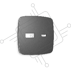 Лицевая панель OMEGA (Антрацит серый) для розетки 2USB тип A+C QUANT OP6610