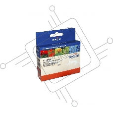Картридж PL-0821 для принтеров Epson StylusR270/R290/R295/R390/RX590/RX610/RX615/RX690/1410/TX700W/TX800FW/T50 Black водн ProfiLine