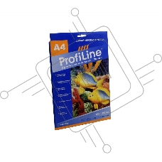 БХ/Г-220-А4-10 ХОЛСТ высокоглянцевый, 220г/м2, А4, 10л, 1440 dpi