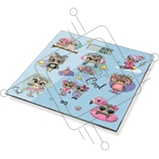 Электронные весы BQ BS1017 Owls
