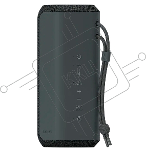 Беспроводная колонка Sony SRS-XE200 черный