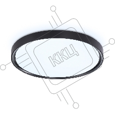 Потолочный светодиодный светильник Ambrella light FZ1248 BK черный IP54 30W 5000K D380*60 (Без ПДУ)