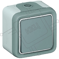 Plexo Серый Выключатель кнопочный 1НО наружный монтаж 10А (в сборе) IP55 069720 Legrand