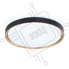 Потолочный светодиодный светильник Ambrella light FZ1249 BK/GD черный/золото IP54 45W 5000K D480*60 (Без ПДУ)