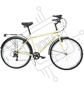 Велосипед Digma Prosperity городской рам.:19