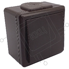 Выключатель Bylectrica Выкл. 2-кл. IP55 серия ПРАЛЕСКА АКВА (А510-2132 шоколад)