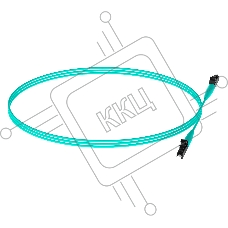 Патч-корд Panduit FZ2ELLNLNSNM001 2x50/125 OM4 LC дуплекс-LC дуплекс 1м LSZH аквамарин