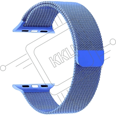 Ремешок из нержавеющей стали Lyambda Capella для Apple Watch 38/40 mm DS-APM02-40-BL Blue