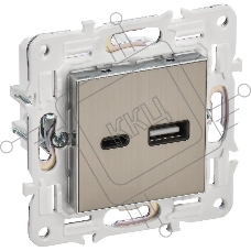 SKANDY Розетка USB A+C 3,1А SK-R14N никель | SK-U22-D31-K50 | IEK