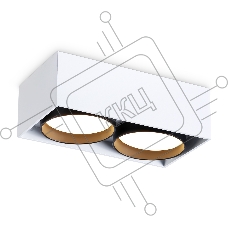 Светильник накладной TN70872/2 WH/BK белый/черный GX53/2 max 12W 185*92*62