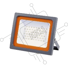 Прожектор LED PFL-SC-SMD-100Вт 100Вт IP65 6500К мат. стекло JazzWay 5001428