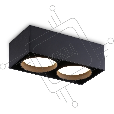 Светильник накладной TN70875/2 BK черный GX53/2 max 12W 185*92*62