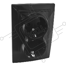 Розетка 2П+З двойная с защ. шт. скрытой установки 16А 250В IP20, черная (керамика) 