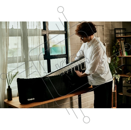 Цифровое фортепиано Casio Privia PX-S5000BK