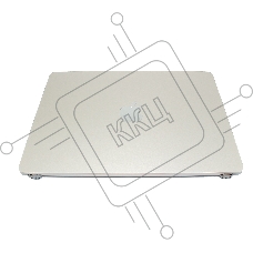 Матрица в сборе (дисплей) для MacBook Air 13 A3240 Early 2025 Starlight OEM OR
