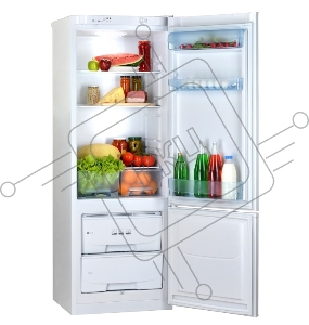 Холодильник Pozis RK-102 серебристый (двухкамерный)