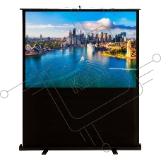 Экран Cactus 120x160см FloorCompactExpert CS-PSFLCE-160X120 4:3 напольный рулонный