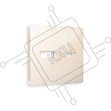 Лицевая панель ALFA (Бежевый глянец) для розетки 2USB тип A+C QUANT AP3110