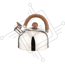 Чайник газовый Добрыня DO-2910 (2,5 л)