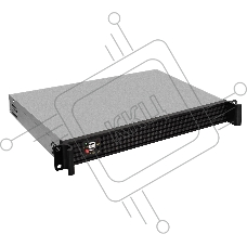 Серверный корпус ExeGate EX293305RUS Pro 1U250-01 <RM 19