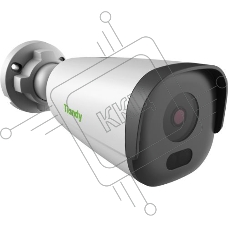 Камера видеонаблюдения IP Tiandy TC-C32GN Spec:I5/E/Y/C/2.8mm/V4.2 2.8-2.8мм (TC-C32GN SPEC:I5/E/Y/C/2.8MM)