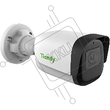 Камера видеонаблюдения IP Tiandy TC-C35WS I5/E/Y/2.8mm(4mm)/V4.0 1/2.8