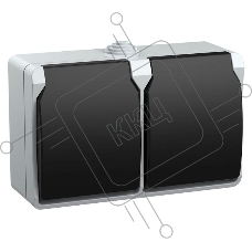 Розетка двухместная РСб22-3-ФСр с з/к для открытой установки IP54 Форс  ERS22-K03-16-54-DC  IEK