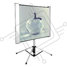 Экран Cactus 102x180см TriAlExpert CS-PSTALE-180X102 16:9 напольный рулонный