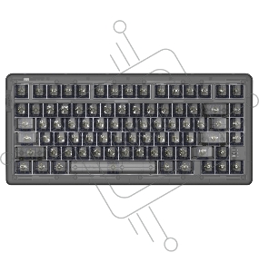 Клавиатура механическая проводная Dareu A81 Black (черный), 81 клавиша, switch Firefly (tactile)