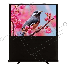 Экран Cactus 90x120см FloorCompactExpert CS-PSFLCE-120X90 4:3 напольный рулонный