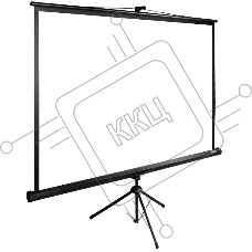 Экран Cactus 160x160см TriExpert CS-PSTE-160x160-BK 1:1 напольный рулонный