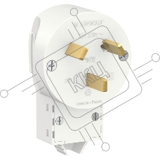 Вилка силовая СП BLANCA 2P+N 32А 250В бел. SchE BLNSV003231
