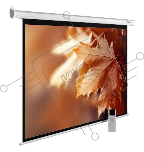 Экран Cactus 188x300см MotoExpert CS-PSME-300x188-WT 16:10 настенно-потолочный рулонный белый (моторизованный привод)