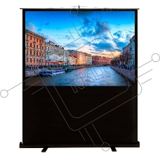 Экран Cactus 90x160см FloorCompactExpert CS-PSFLCE-160X90 16:9 напольный рулонный
