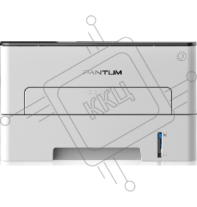 Принтер лазерный Pantum P3010D, (A4, дуплекс, 30стр/мин, 1200 х 1200dpi, 128Mb, USB, серый корпус)