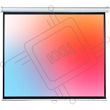 LEP-100131 Настенный экран Lumien Eco Picture 120х120 см (67