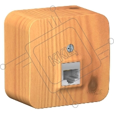 Розетка компьютерная 1-м ОП BLANCA RJ45 кат.5e изол. пласт. ясень SchE BLNIA045005